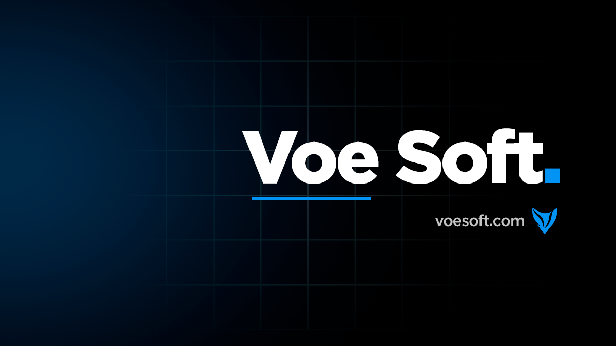 Equipe da Voe Soft desenvolvendo um sistema sob medida